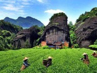 同普京会晤时，习近平主席为何提到武夷山？