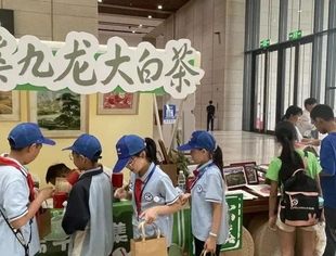 特别报道丨九龙大白茶在首届“端午传薪”非遗主题市集中大放异彩