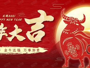 温暖同行 | 深圳市文化市场行业协会祝大家新春快乐