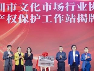 深圳市文化市场知识产权保护工作站成立