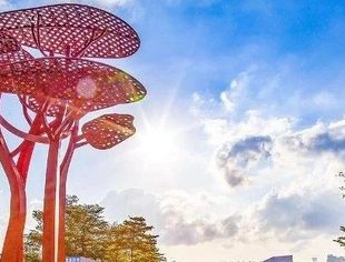 市文化广电旅游体育局副局长陈绍华一行来我会调研指导工作