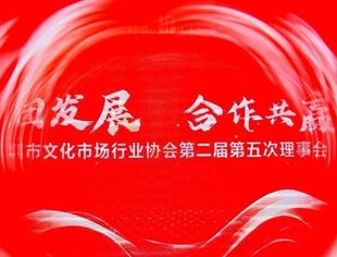 深圳市文化市场行业协会第二届第五次理事会圆满举办