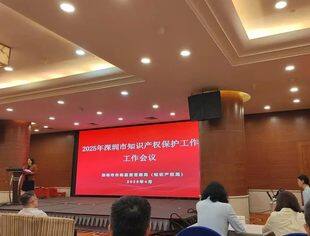 深圳市文化市场知识产权保护工作站获评2024年度工作“良好”等级