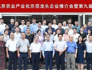 【商会动态】我会应邀参加2022年北京农业产业化示范龙头企业推介会暨第九届协会年会