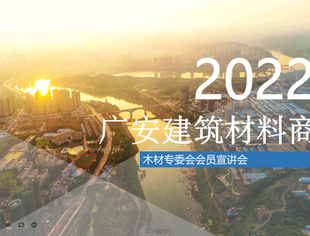 广安市建筑材料商会（筹）钢铝石木材专委会组织木材行业同仁顺利召开第一次大会暨行业法律风险讲座