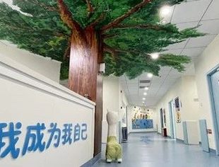好心情全国首家孤独症儿童认知训练中心开业