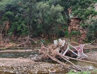 陪调研、知需求！基金会赴穆家峪镇联动多方探灾情