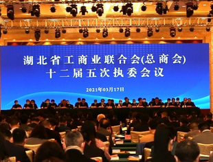 【荆楚苏商】李兴东会长参加省工商联十二届五次执委会