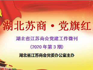 【苏商党建】湖北省江苏商会党委召开纪念建党99周年暨“创优争先”表彰大会