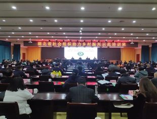 【苏商公益】湖北省江苏商会助力郧西乡村振兴