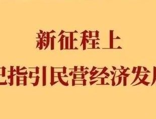 【关注】新征程上，总书记指引民营经济发展方向
