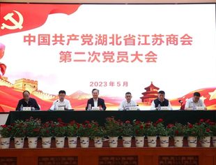 【苏商党建】中共湖北省江苏商会第二次党员大会隆重召开