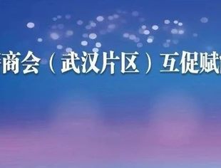 【苏悦荟】江苏籍商会（武汉片区）互促赋能沙龙活动成功举办