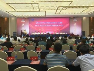 【湖北苏商】省内江苏籍商会参加武汉市宝应商会成立庆典