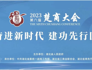 【湖北苏商】李兴东会长出席第六届楚商大会开幕式