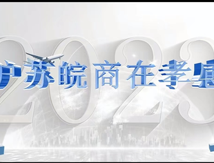 【湖北苏商】商会苏商代表应邀出席孝感沪苏皖企业政企沟通恳谈会