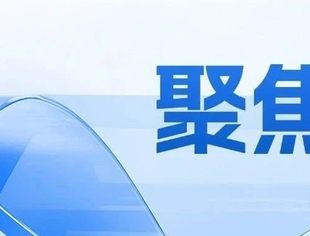 双向奔赴 “苏”写新篇——2024全球江苏商会工作会议在长沙召开