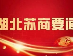 【湖北苏商】湖北省江苏商会召开第四届十三次理事会