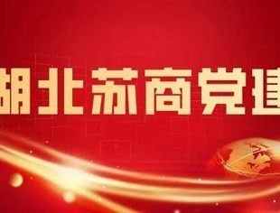 【苏商党建】商会党委召开党委扩大会议暨党委中心组学习会议
