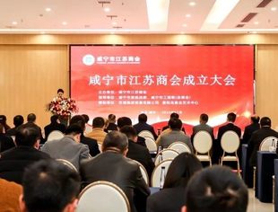 ​【湖北苏商】省内江苏籍商会应邀参加咸宁市江苏商会成立大会
