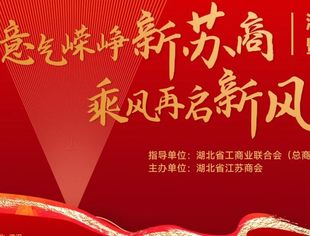 【湖北苏商】湖北省江苏商会第五届理事会就职典礼暨2025迎春团拜会隆重举行！
