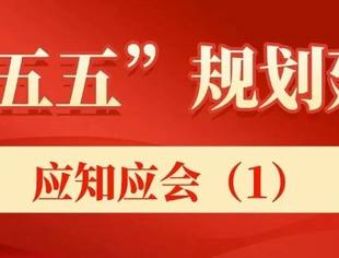“十五五”规划建议应知应会（1）
