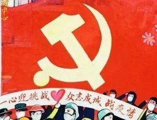 凝心聚力抗疫情 支部党员显担当