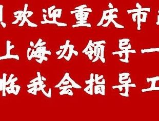 重庆市政府驻上海办领导一行莅临我会指导工作