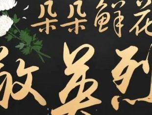 清 明 |温州市重庆商会向全体会员提出的倡议