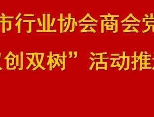 党 建| 我会参加市协会商会党组织 “双创双树”活动推介会-简报