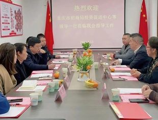 商会新闻丨重庆市招商投资促进中心等领导莅临我会指导工作