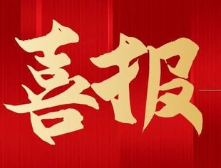 喜报丨温州市重庆商会荣获“2024年度商会工作创新案例”奖