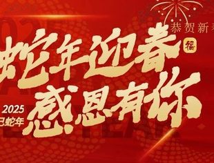温州市重庆商会祝大家新春快乐 巳巳如意