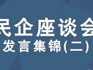 共抒桑梓情 共谋发展策 | 民营企业家及民间商会负责人座谈会发言集锦(二)