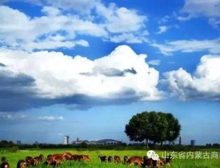 资讯速递——“一带一路”莫斯科行