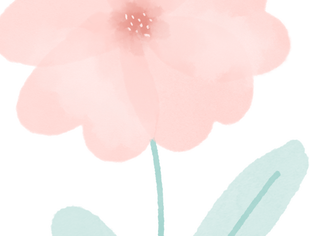 “魅力女神 花漾绽放”——山东省内蒙古商会开展“三八”国际劳动妇女节联谊活动