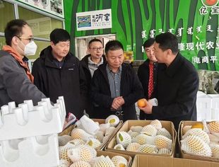 【商会通讯】山东省内蒙古商会携企业家赴内蒙古巴彦淖尔市考察团考察简报（四）