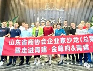 山东省商协会企业家沙龙(总第329期)暨走进青建金宸府活动成功举办
