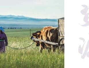 【爱上内蒙古】西乌珠穆沁旗投资指南