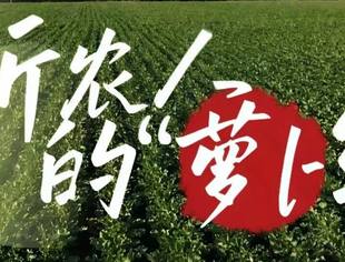 【爱上内蒙古】商会搭桥・农产赋能 | 3000 亩水果萝卜寻订单式收购企业，共推鲁蒙农业合作新篇