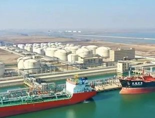 【会长动态】商会终生名誉会长单位泰地集团黄骅港泰地码头通过口岸开放验收