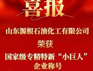 【理事动态】祝贺理事单位源根石化荣获国家级专精特新“小巨人”称号