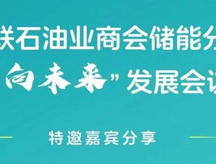 【会议通知】关于召开“石油石化行业节能降碳安全标准”首期研讨会（线上）的通知