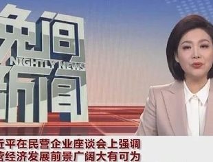 促进民营经济健康发展、高质量发展 ——习近平总书记在民营企业座谈会上重要讲话指明方向、凝聚力量