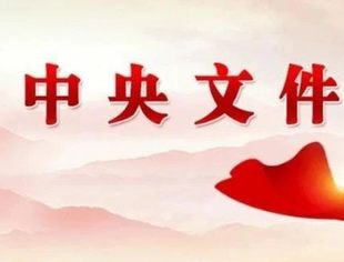 中办、国办重磅发文：事关能源、电力、储能、碳定价