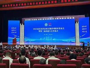 【喜报】2025山东民营企业百强系列榜单发布，我会多家企业上榜
