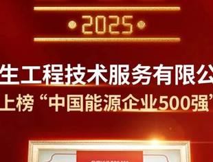 【喜报】常务会长单位惠生工程入选“中国能源企业500强”