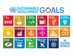 SDG 目标