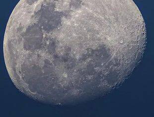 沈商简报