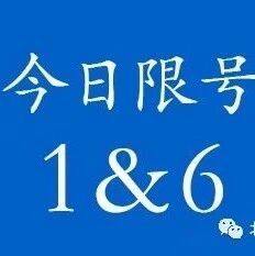 沈商生活指南